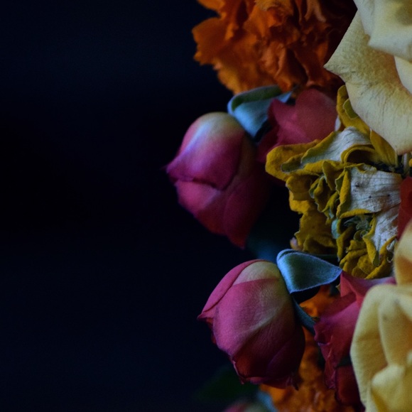 Meet your Posher, Angele - Picture 1 of 1